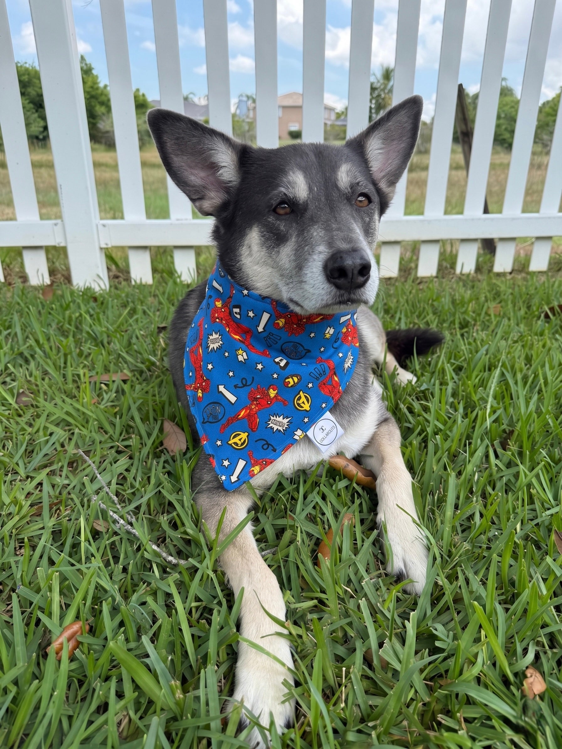 I Love You 3000 Bandana