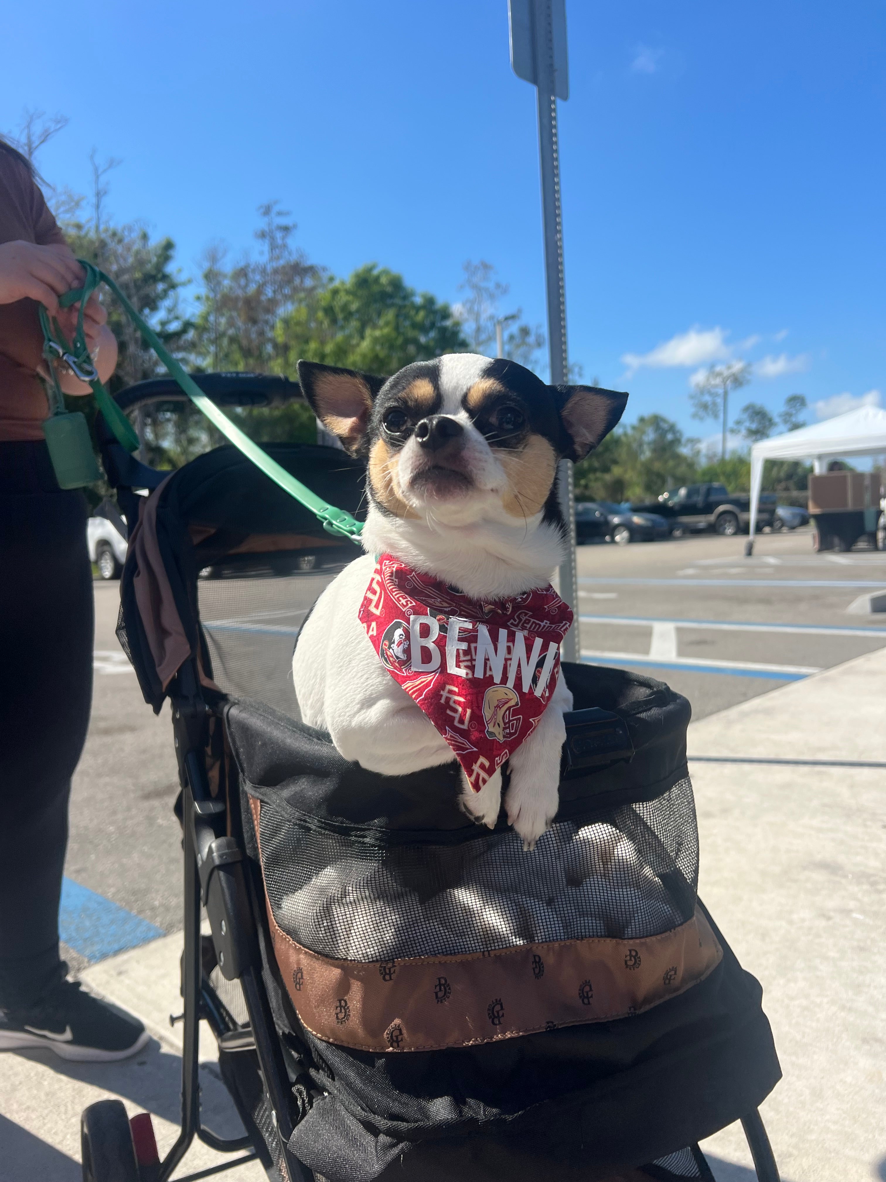 Seminoles Bandana