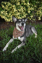 Dog Bones Bandana