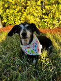 Wine Buddy Bandana