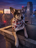 Spidey Senses Bandana