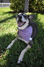 Purple Leaves Bandana