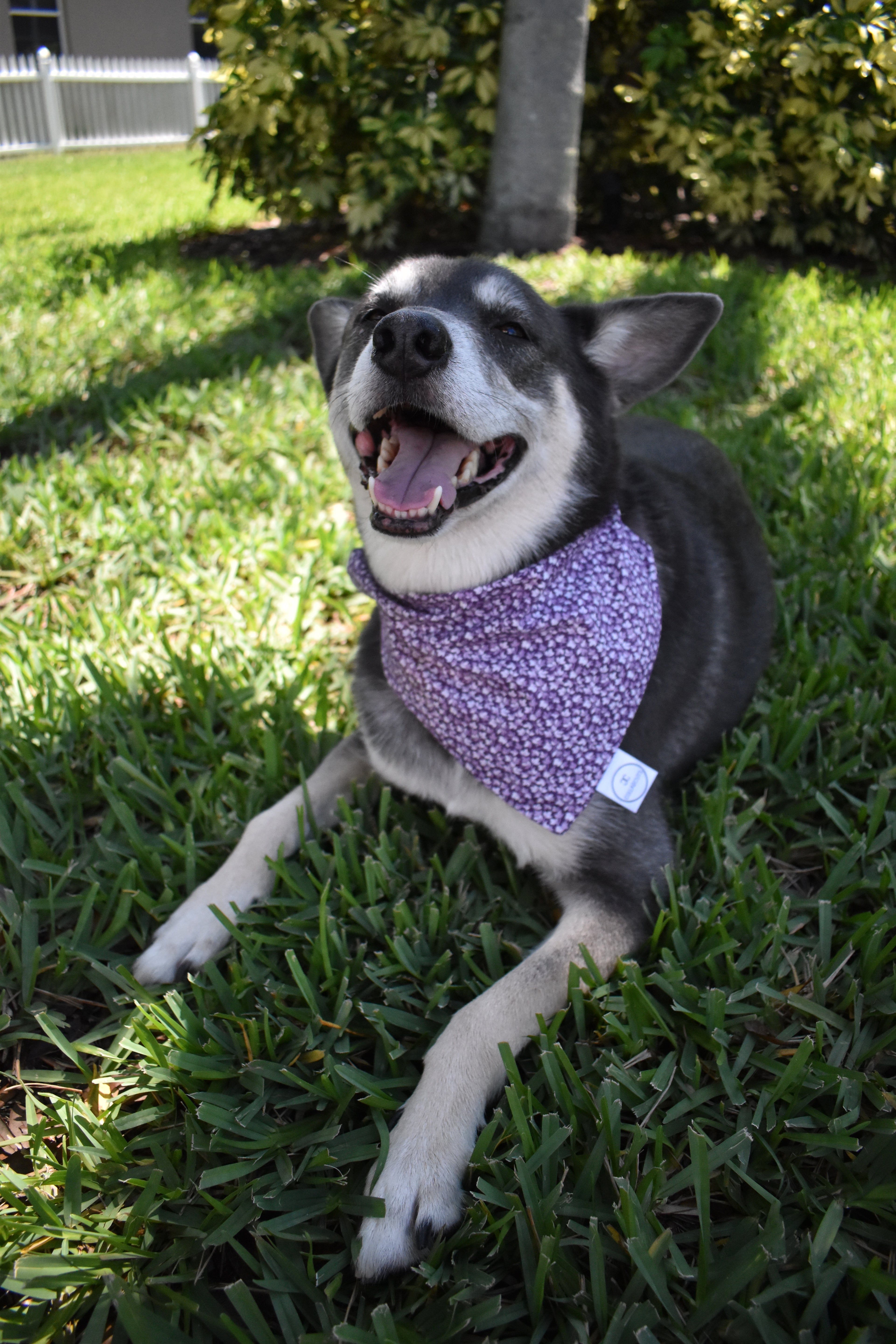 Purple Leaves Bandana