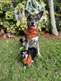 Pumpkin Stripes Bandana