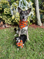 Pumpkin Stripes Bandana