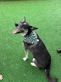 Wavy Checkerboard Bandana
