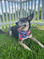 Tie Dye Bandana