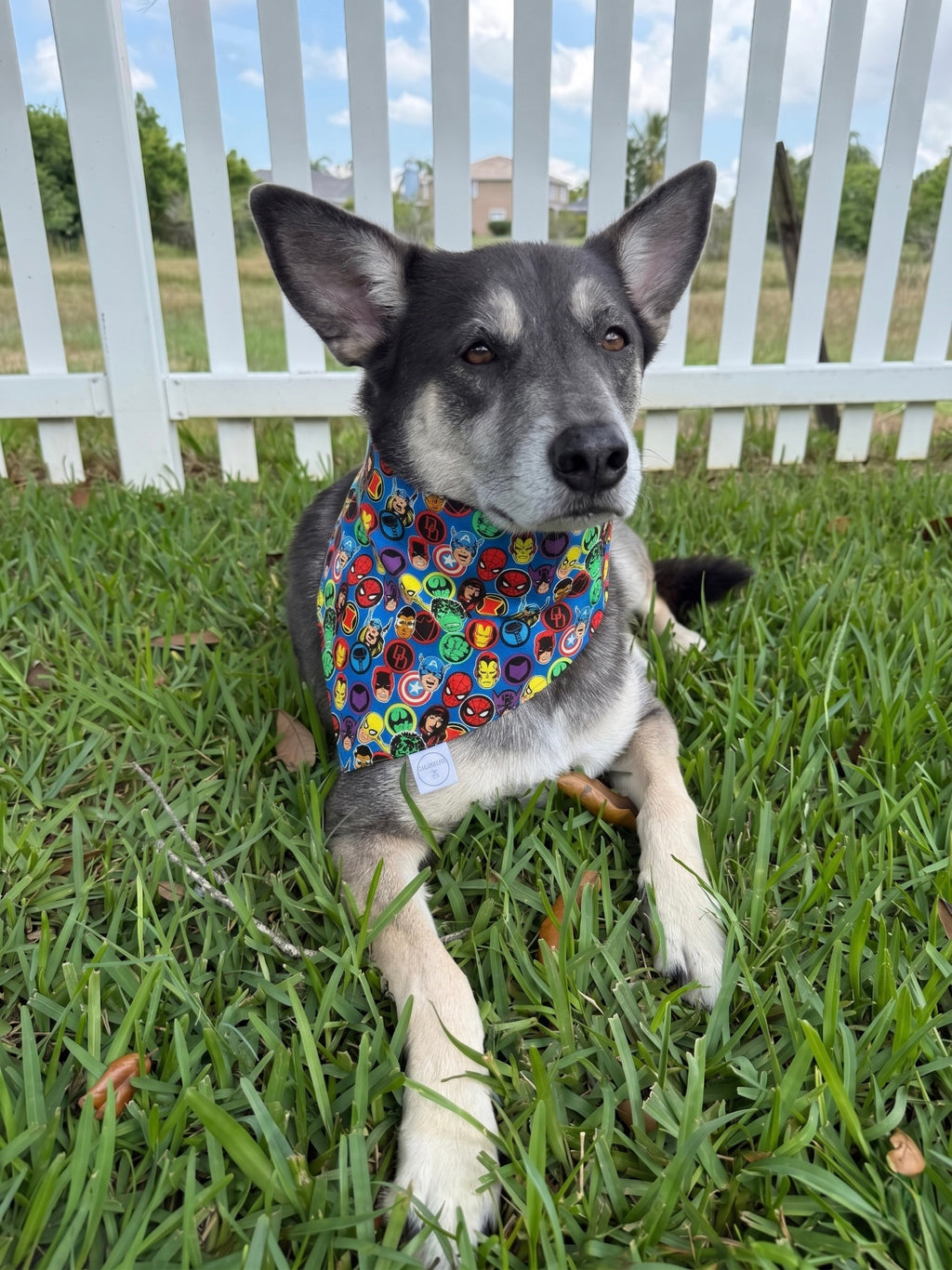 Tiny Heroes Bandana