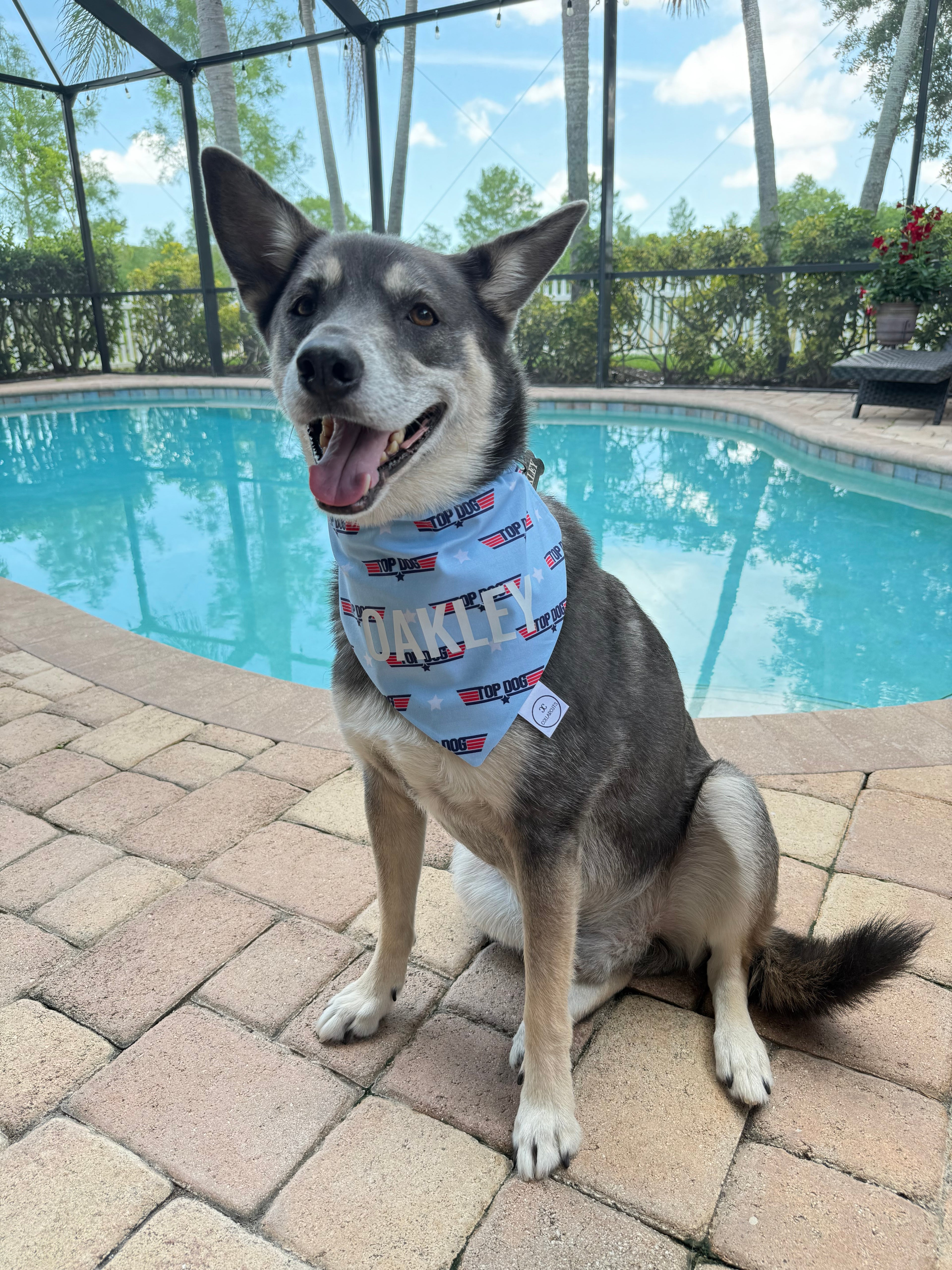 Top Dog Bandana