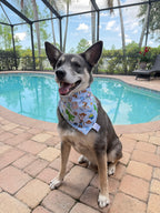 Toy Box Bandana