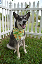 Pineapples Bandana