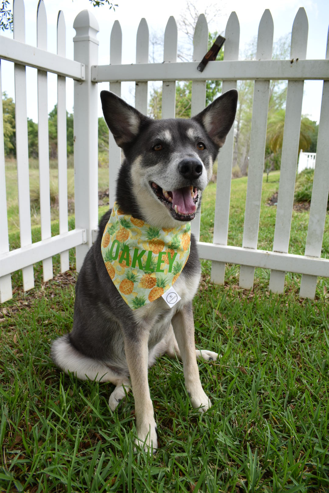 Pineapples Bandana