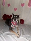 Heart Breaker Bandana