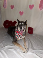 Heart Breaker Bandana
