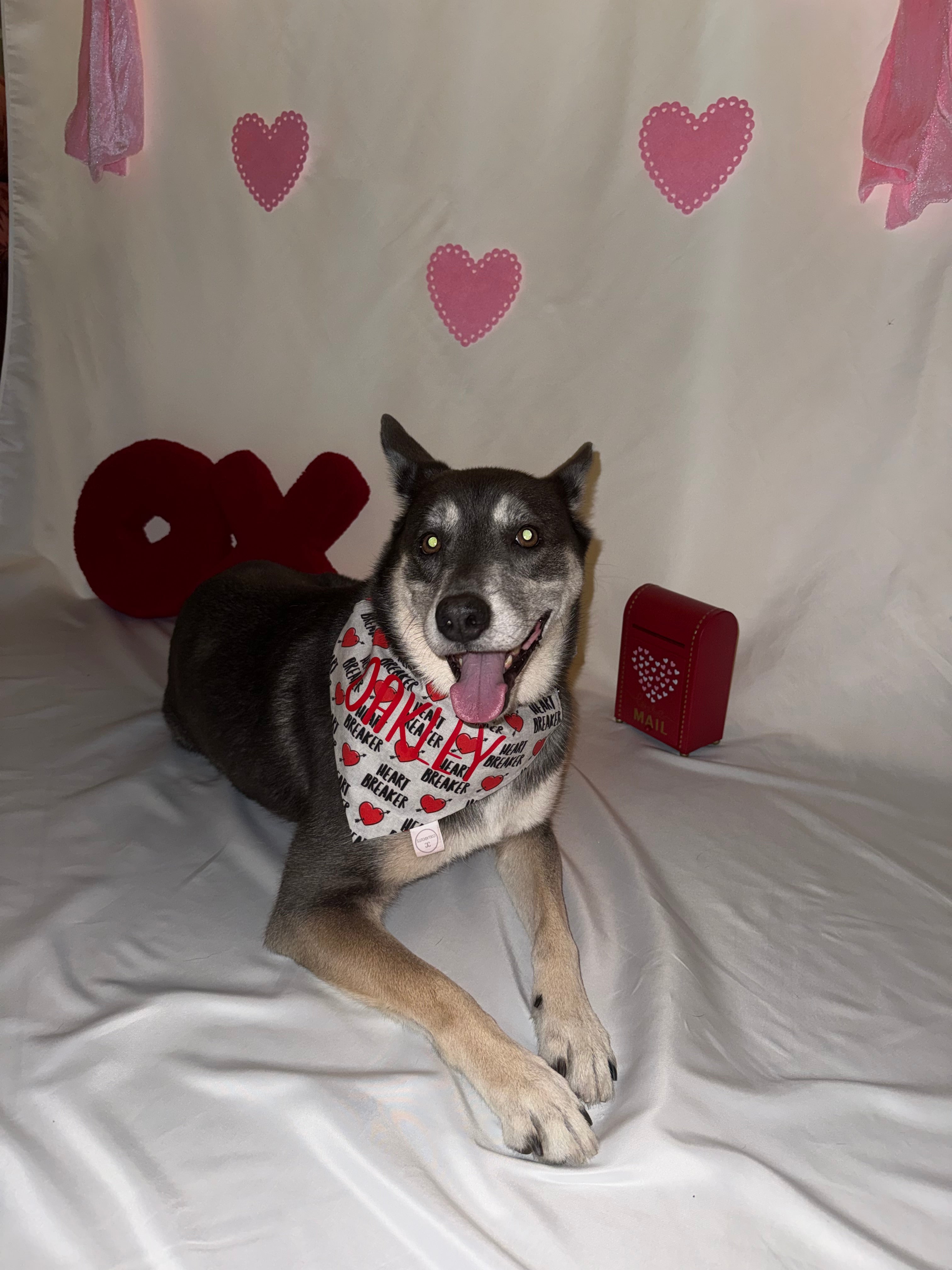 Heart Breaker Bandana