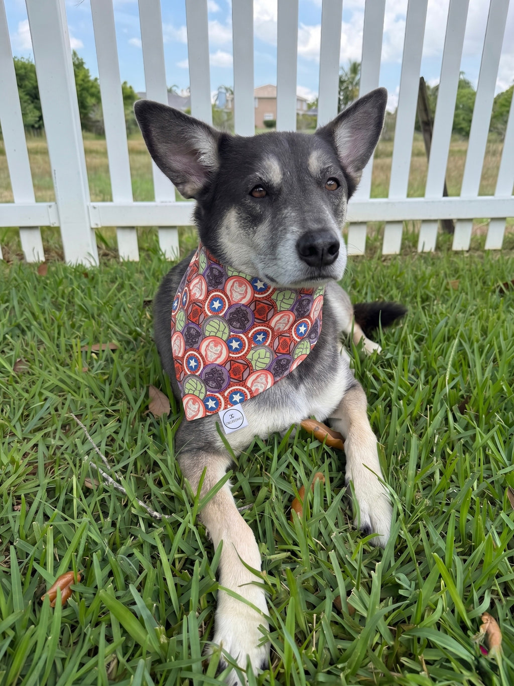 Hero Coins Bandana