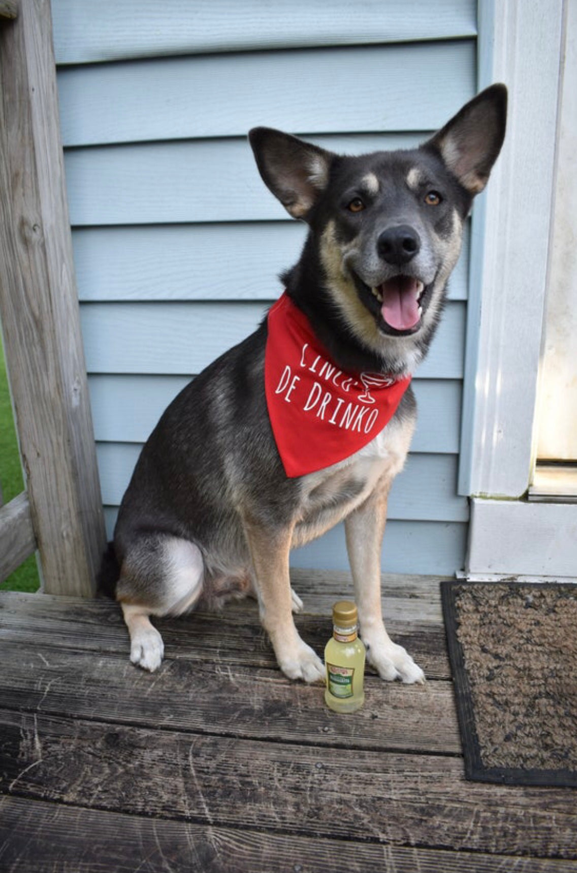 Custom Design Bandana