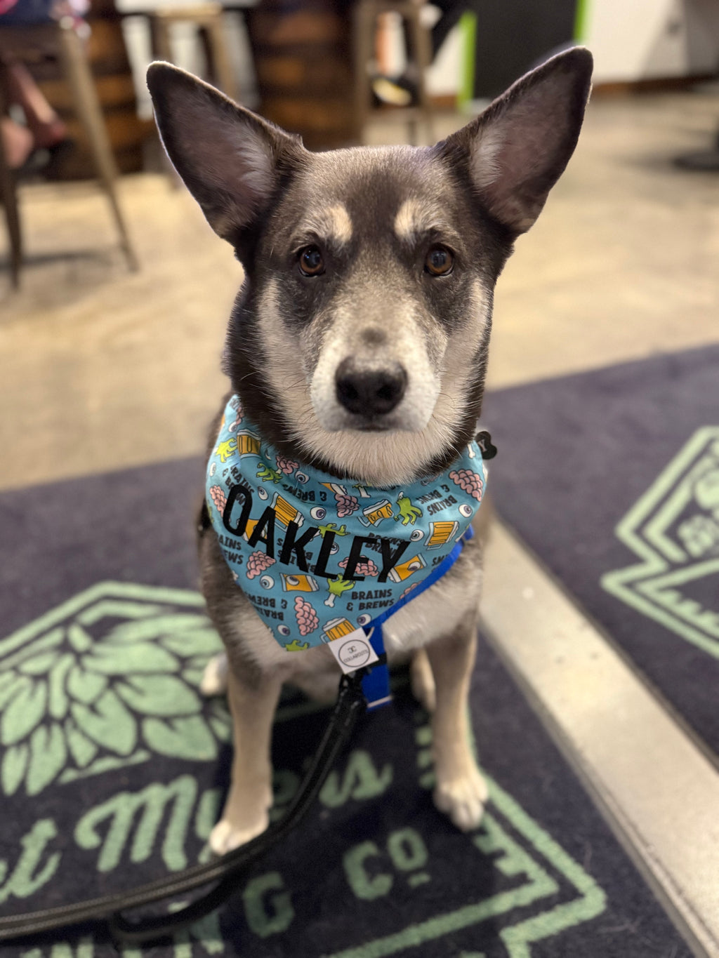 Brains and Brews Bandana