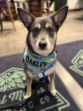Brains and Brews Bandana