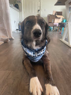 Ocean Stripes Bandana
