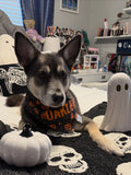 Halloween Icons Bandana