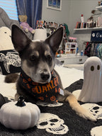 Halloween Icons Bandana