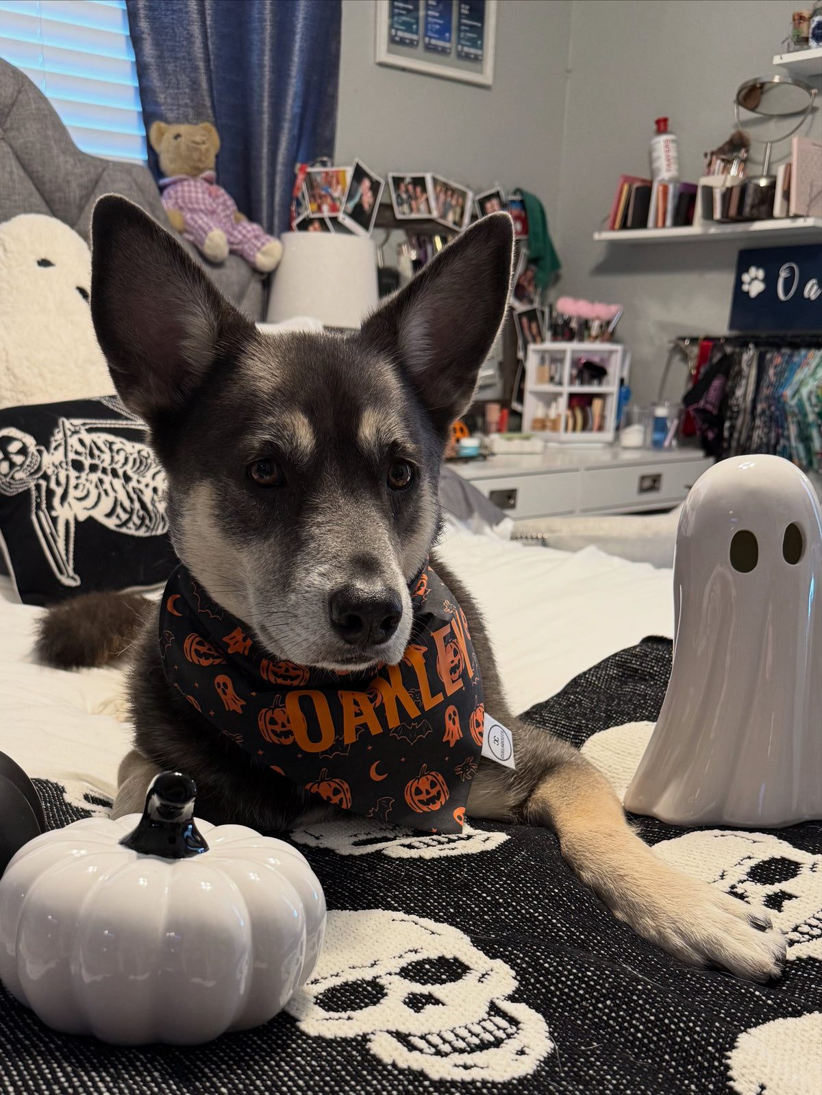 Halloween Icons Bandana