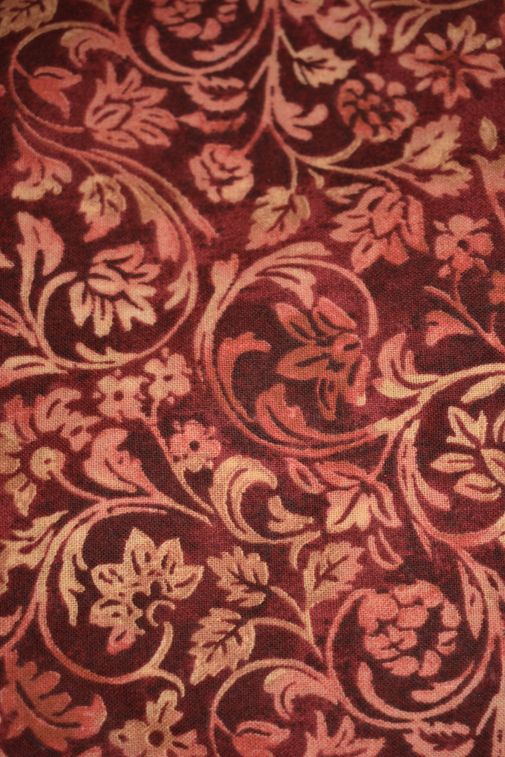 Fall Red Paisley Bandana