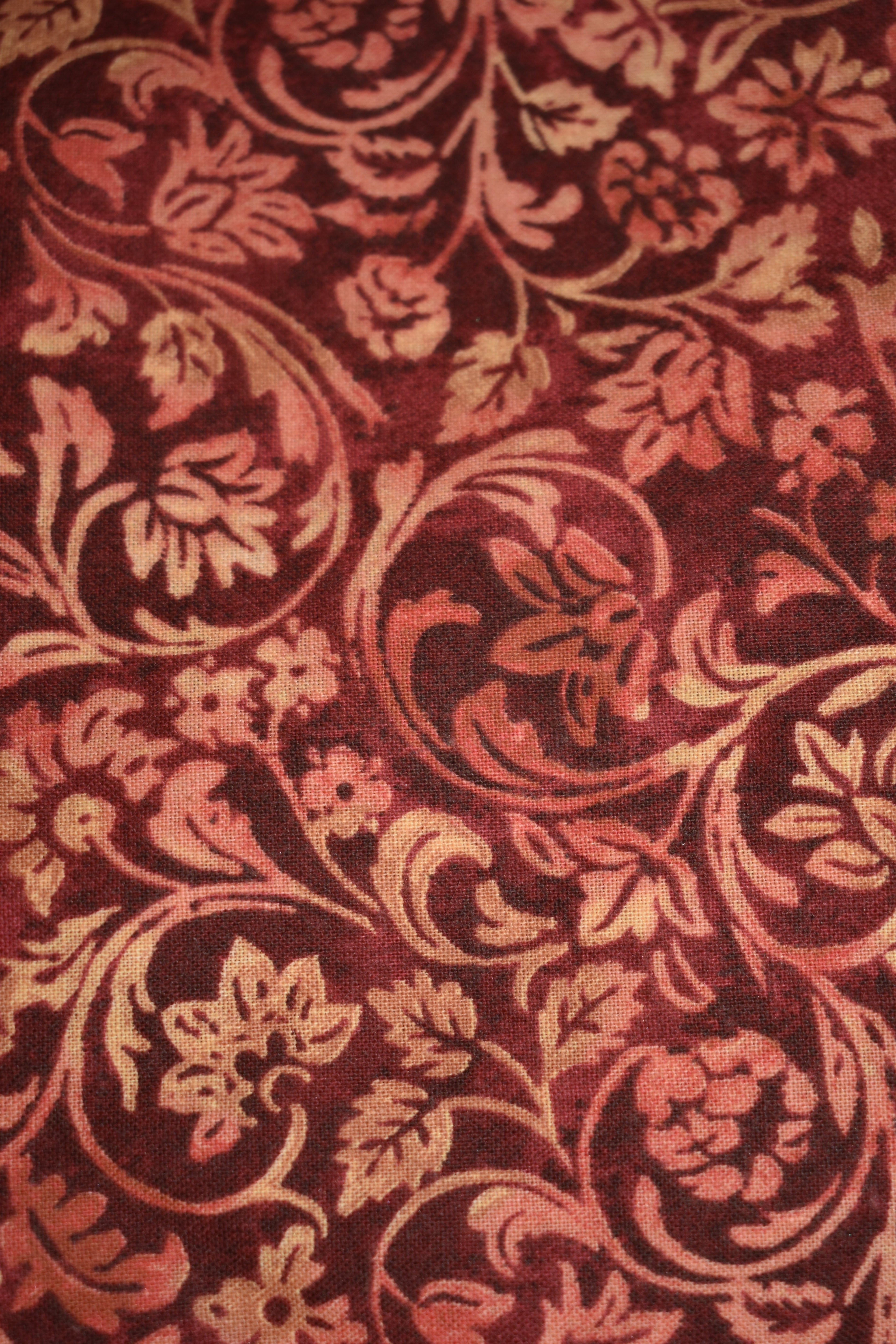 Fall Red Paisley Bandana
