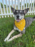 Yellow Dog Bones Bandana
