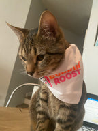 Custom Design Bandana