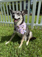 Miss Mouse Polka Dots Bandana