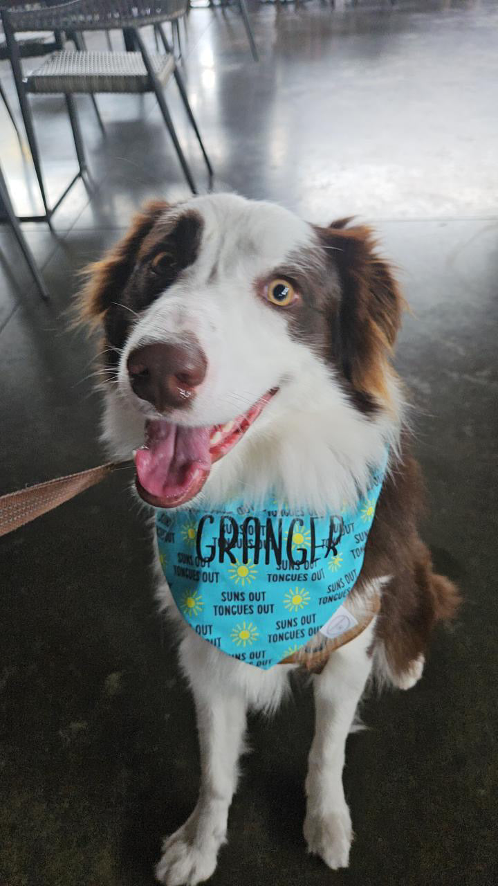 Suns Out Tongues Out Bandana