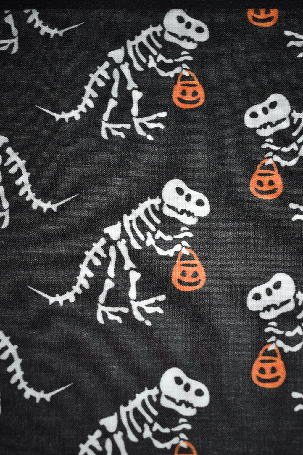 Halloween Dinosaurs Bandana