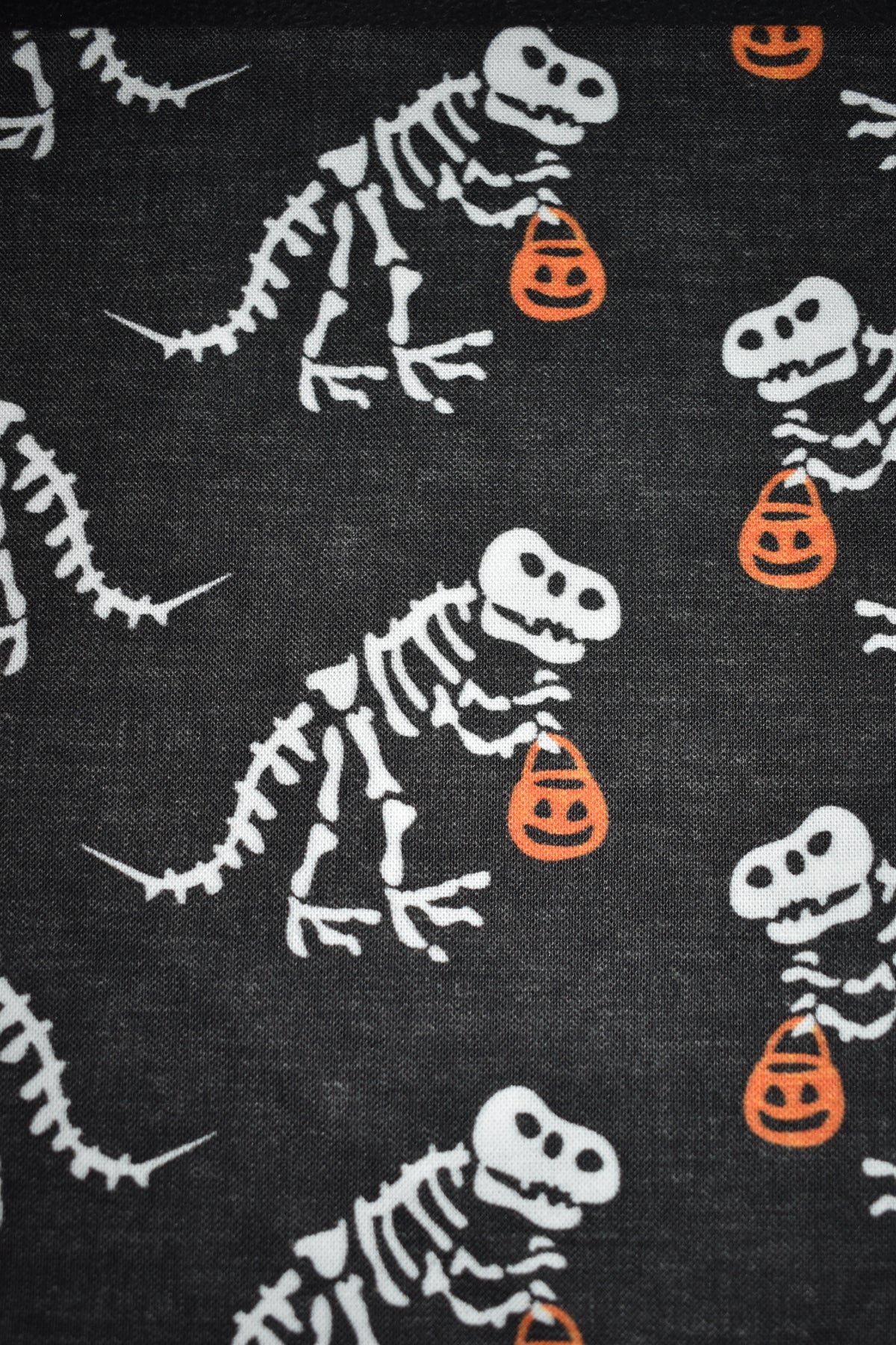 Halloween Dinosaurs Bandana