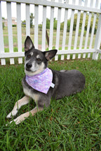 Angels Bandana