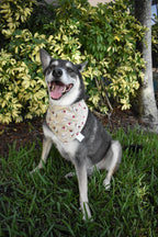 French Dogs Bandana