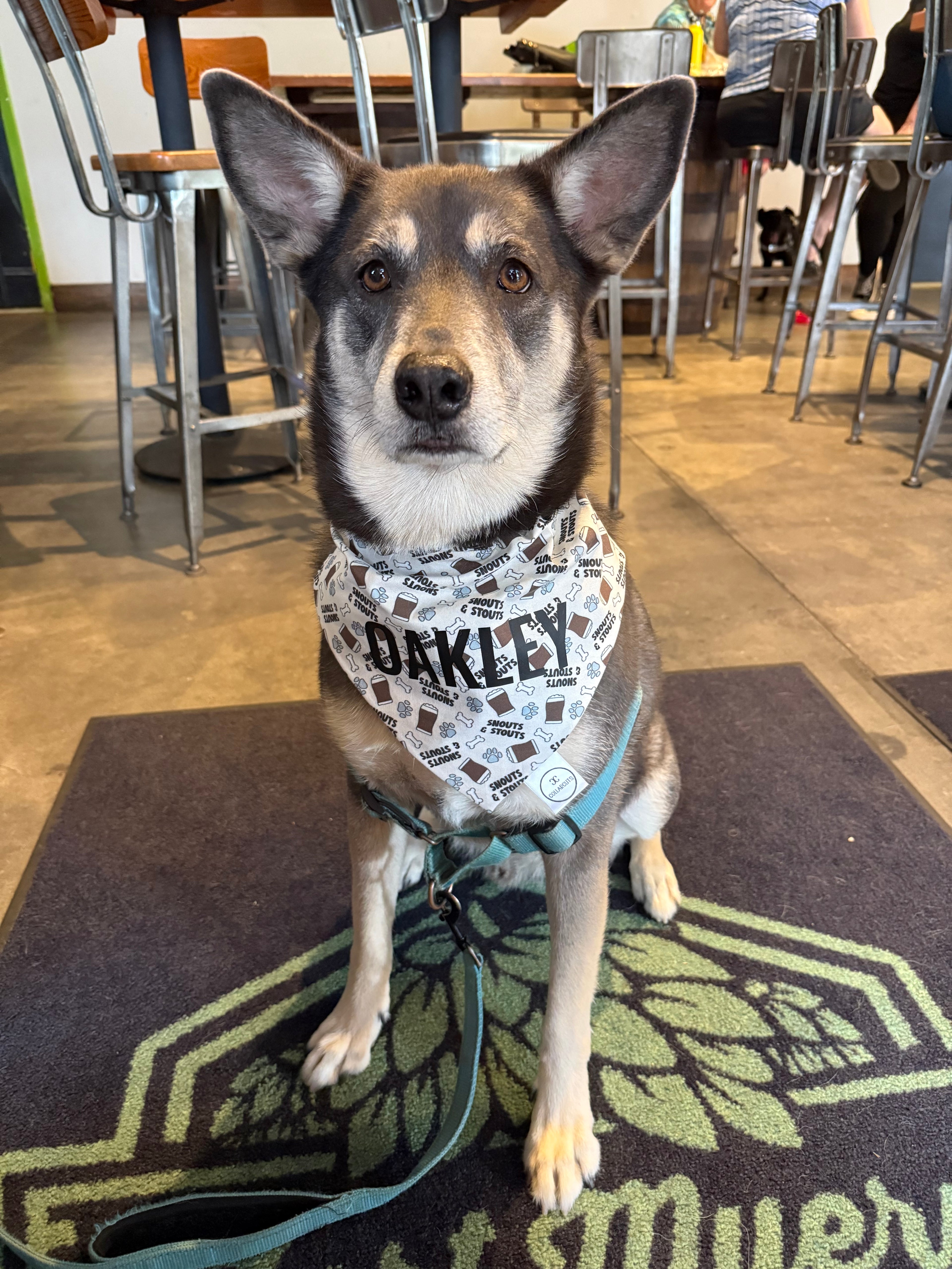Snouts and Stouts Bandana