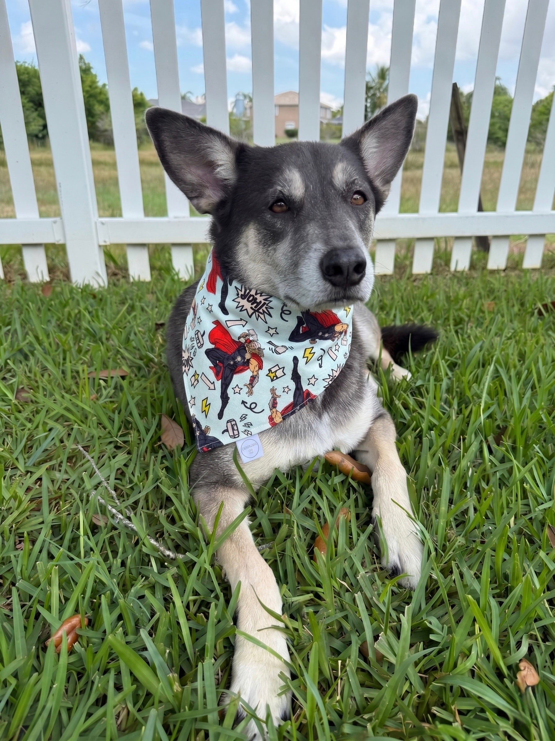 Hero Hammer Bandana