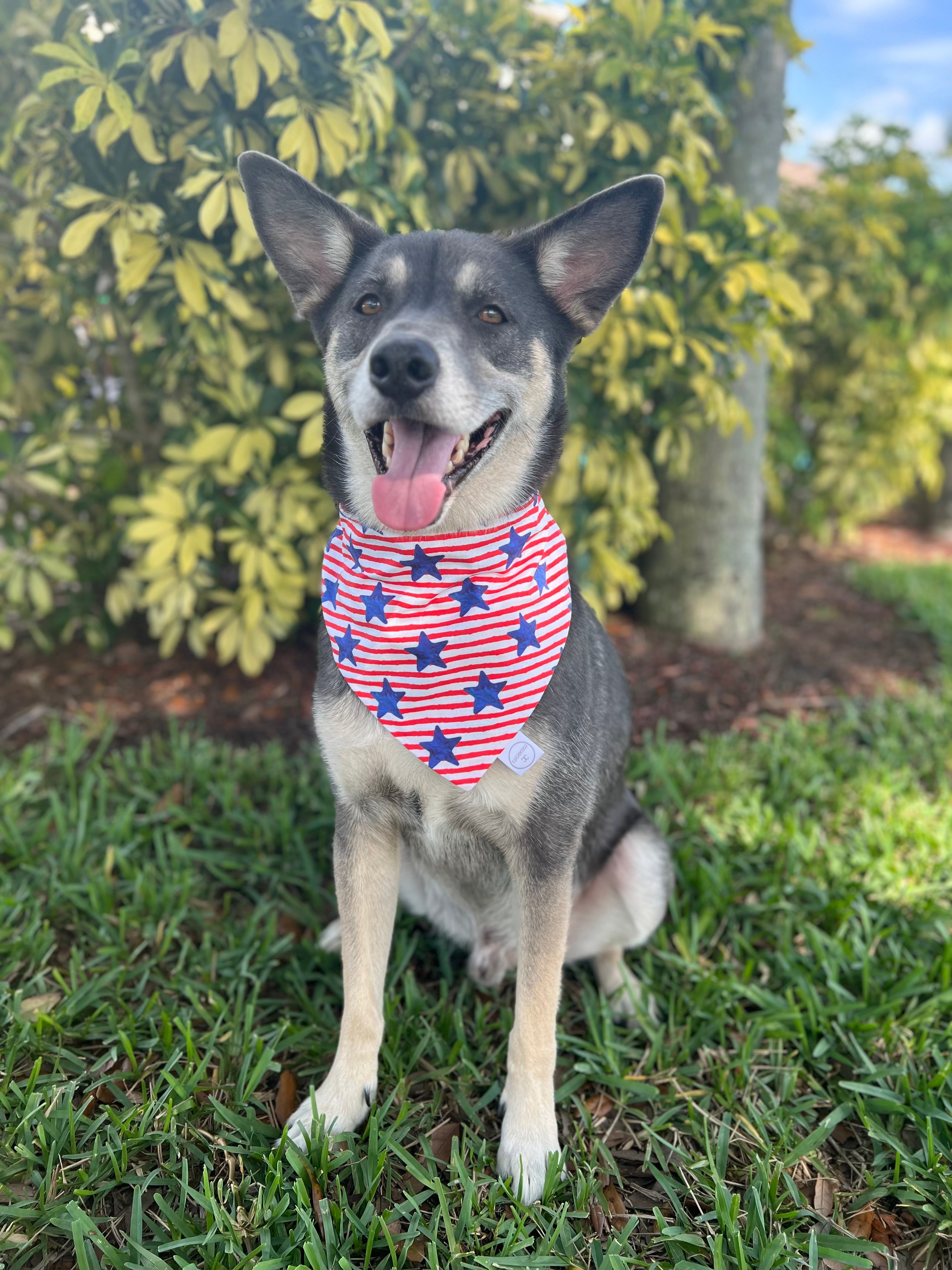 Stars and Stripes Bandana
