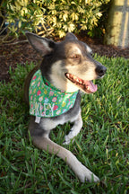 Pickleball Bandana