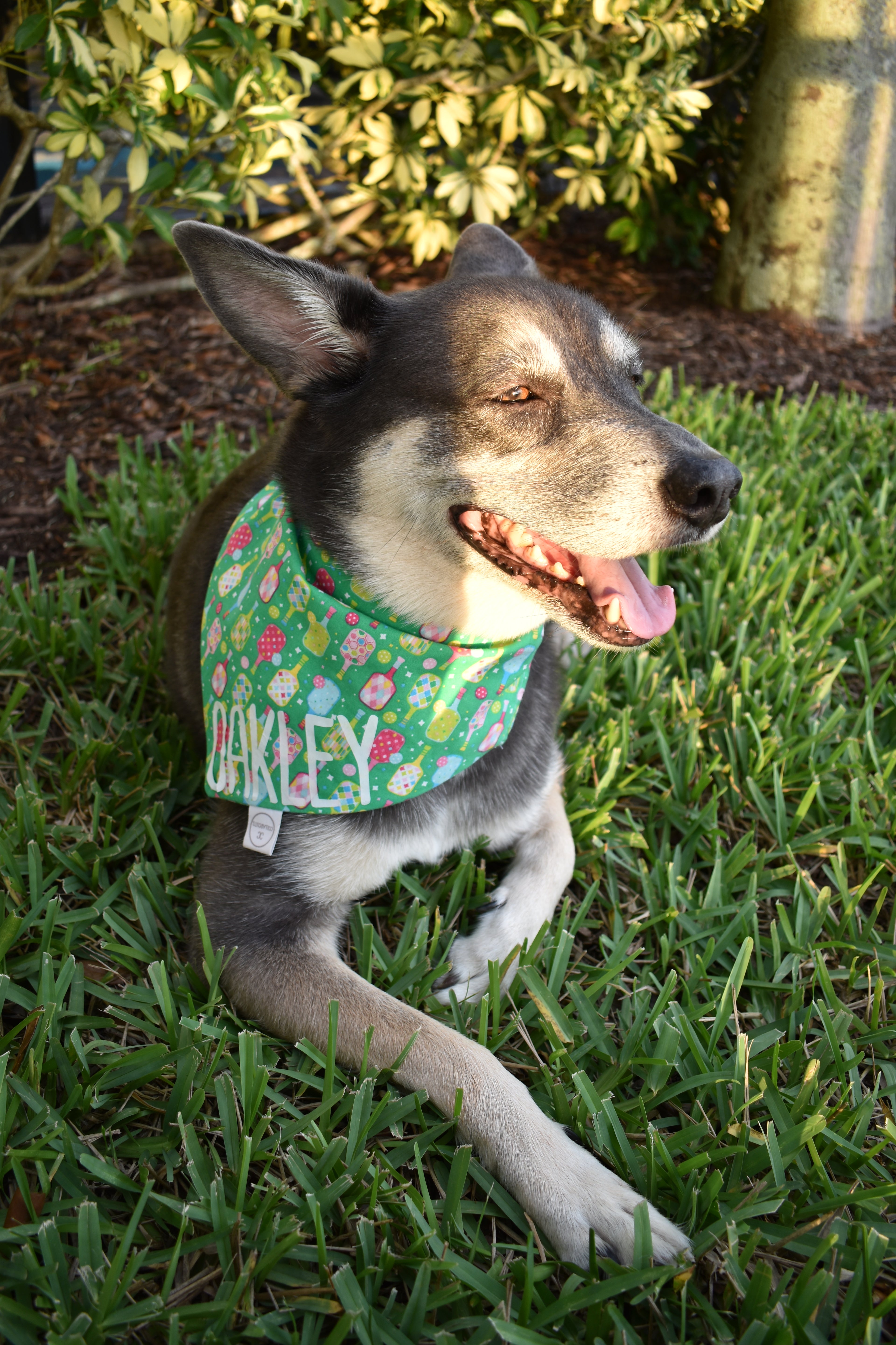 Pickleball Bandana