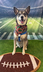 Football Field Bandana