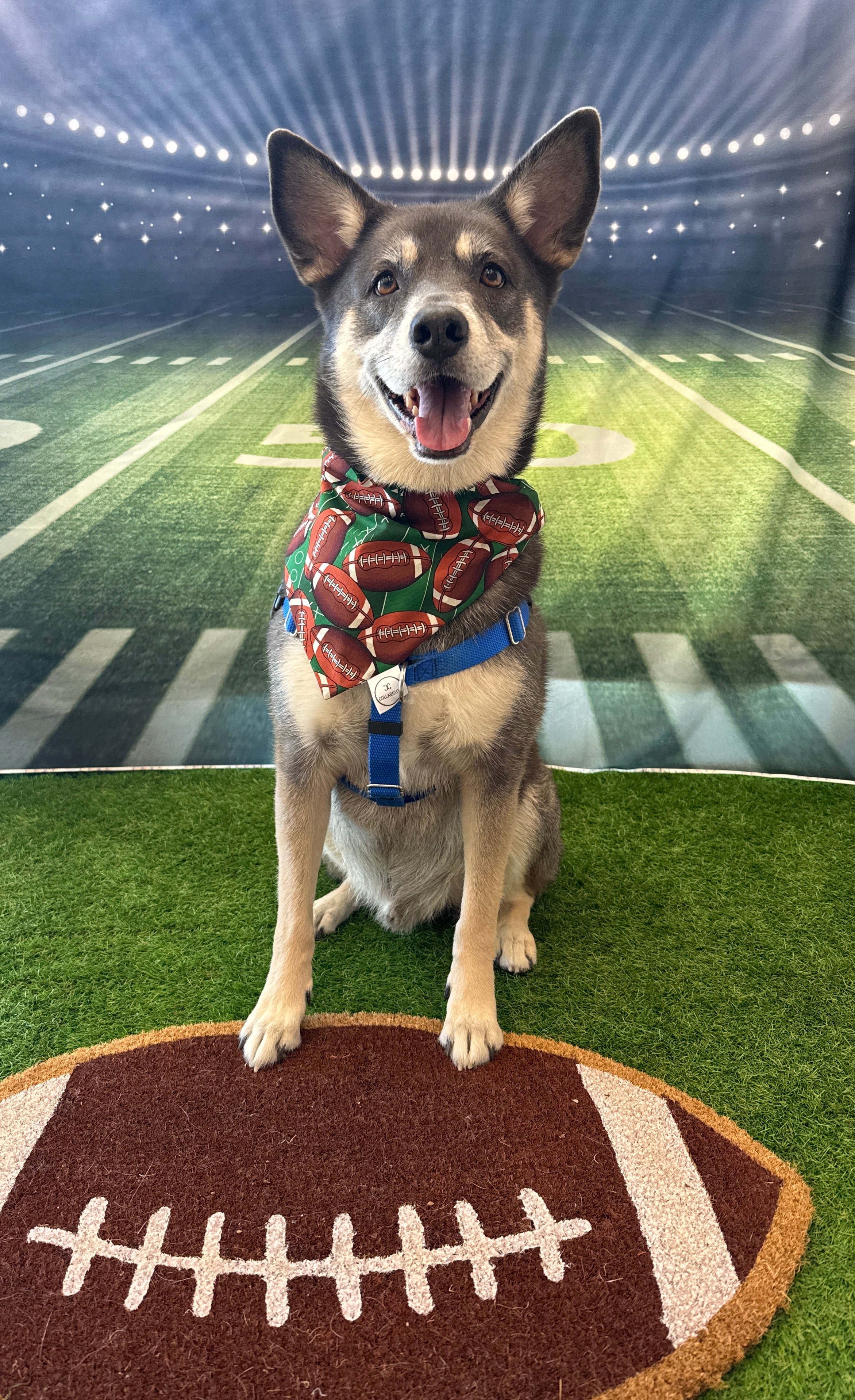 Football Field Bandana