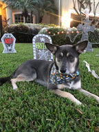 Spooky Dogs Bandana