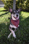 Purple Leaf Stems Bandana