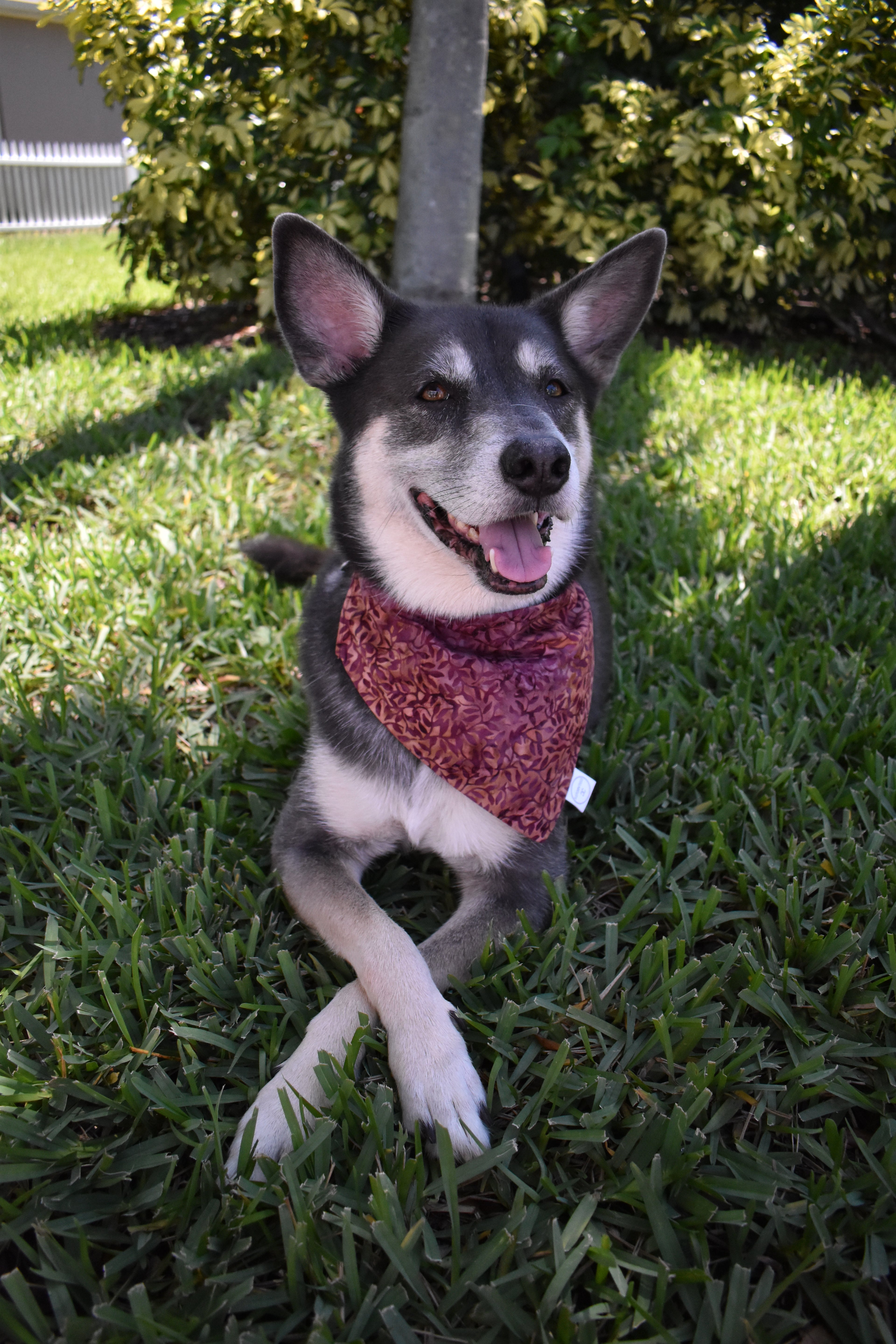 Purple Leaf Stems Bandana