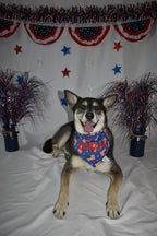 Traditional Flag Bandana