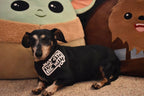 Custom Design Bandana