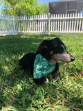 Green Abstract Bandana